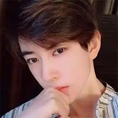 顾凤鹤